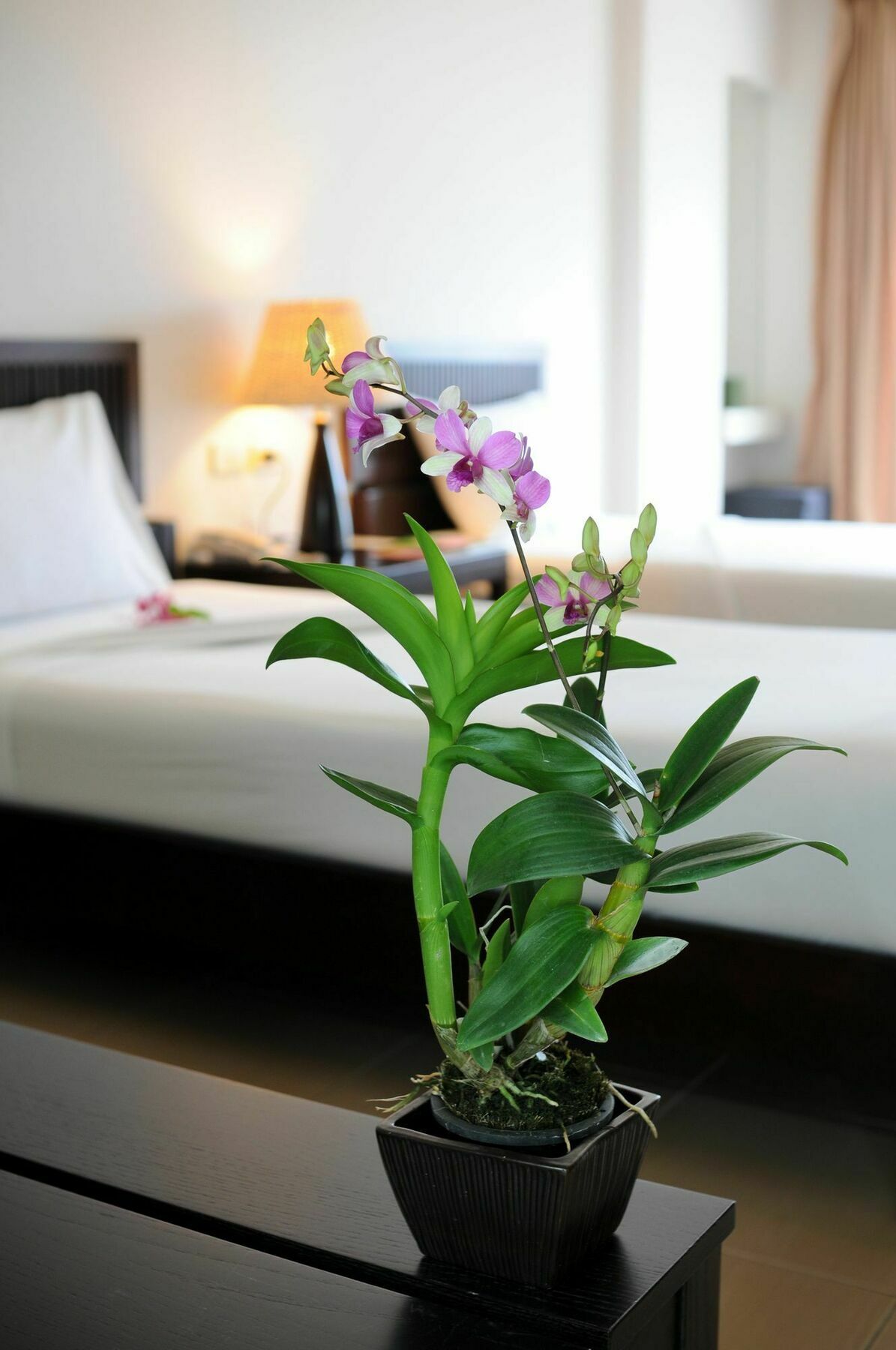 Kasemsarn Hotel Chanthaburi Luaran gambar